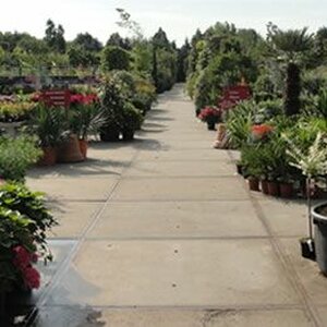 Global Garden B.V. image 1