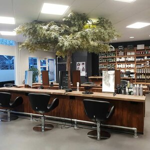 van velsen kappers image 1