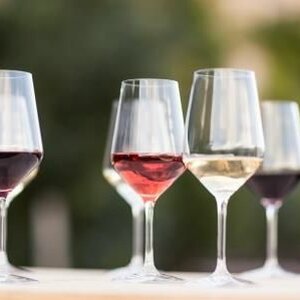 Wijn aan Zee image 2