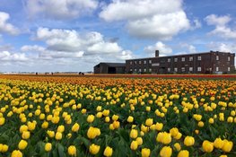 Lezing over het landschap en erfgoed van de bloembollencultuur