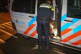 Man raakt tijdens uitlaten hond te water in Haarlem