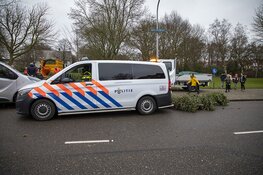 Agenten helpen kinderen met inzamelen kerstbomen