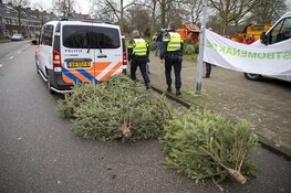 Agenten helpen kinderen met inzamelen kerstbomen
