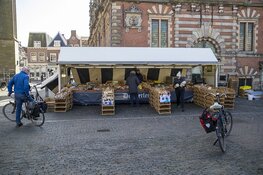 Zaterdagmarkt Haarlem deze week een stuk rustiger