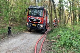 Brand in natuurgebied bij Aerdenhout, politie zoekt mogelijke brandstichter