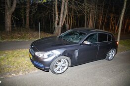 Automobilist in botsing met hert in Aerdenhout