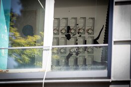 Hennepkwekerij ontmanteld aan de Spaarnhovenstraat in Haarlem-Noord