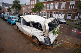 Busje zwaar beschadigd door omgevallen boom in Haarlem