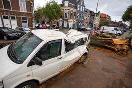 Busje zwaar beschadigd door omgevallen boom in Haarlem