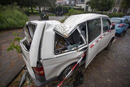 Busje zwaar beschadigd door omgevallen boom in Haarlem