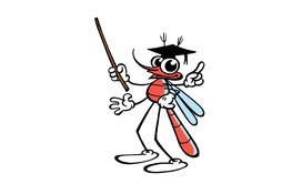 Museum Haarlem uurtje eerder open tijdens herfstvakantie