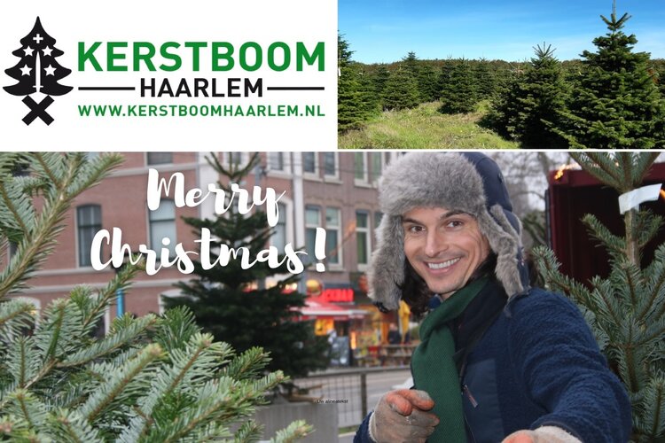 Gaat u voor een echte kerstboom dit jaar? Ga dan langs bij Kerstboom Haarlem