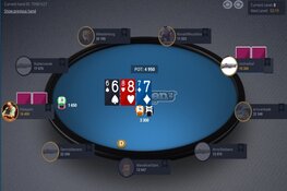Poker Series voorronde van Haarlem verplaatst naar Online vanwege Corona
