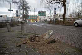 Automobiliste schampt sporthal, rijdt over paal en raakt gewond