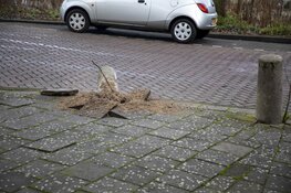 Automobiliste schampt sporthal, rijdt over paal en raakt gewond