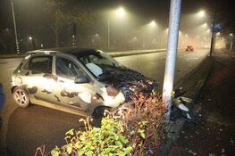 Automobilist vliegt op oudejaarsavond uit de bocht op de Spanjaardslaan