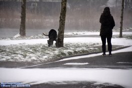 Winterse zondag in beeld