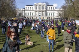 Klimaatalarm in de Haarlemmerhout