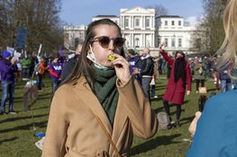 Klimaatalarm in de Haarlemmerhout