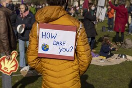 Klimaatalarm in de Haarlemmerhout