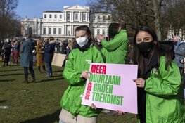 Klimaatalarm in de Haarlemmerhout