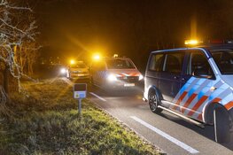 Hert overleden na aanrijding met wagen Koninklijke Marechaussee