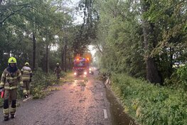 Fotoalbum: veel wateroverlast in grote delen van Noord-Holland