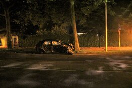 Auto tegen boom in Aerdenhout, bestuurder gewond
