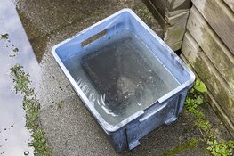 Elektrische scooter in de brand in schuur in Haarlem