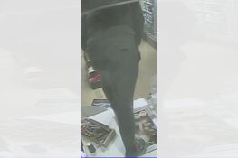 Heeft u informatie over deze overvaller?