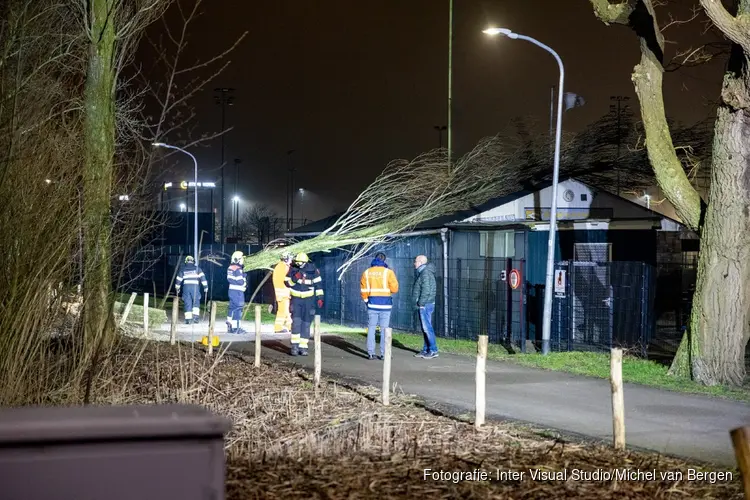 Boom valt op clubhuis softbalvereniging Schoten, plafond komt naar beneden