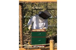 Natuurbegraafplaats Geestmerloo zorgt voor de bijtjes