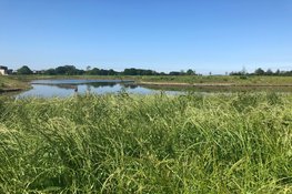 Veel belangstelling voor rondleiding op Natuurbegraafplaats Geestmerloo