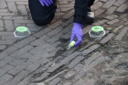 Onderzoek naar vannacht beschoten rijdende auto in Haarlem