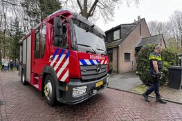 Keukenbrandje in Aerdenhout snel onder controle