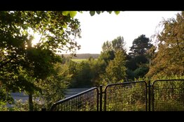 Avondwandeling in wandelbos Groenendaal