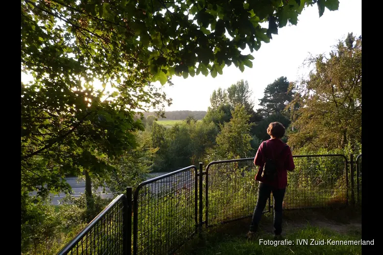 Avondwandeling in wandelbos Groenendaal