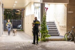 Overval op casino Rozenstraat in Haarlem