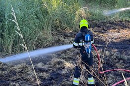 Natuurbrand bij Vondelweg in Haarlem