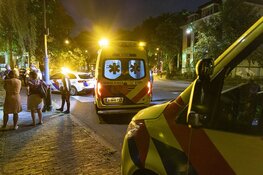 Automobilist rijdt Kenaupark in