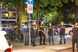 Massale vechtpartij in Haarlem