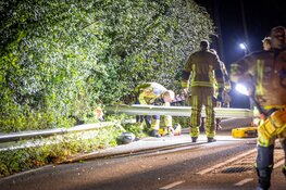 Bestelbus vliegt uit de bocht in Vogelenzang
