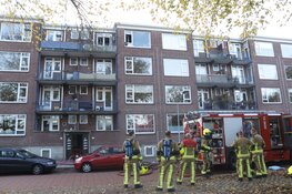 Twee katten overleden bij brand in flat Haarlem