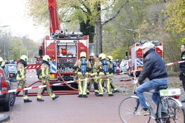 Twee katten overleden bij brand in flat Haarlem