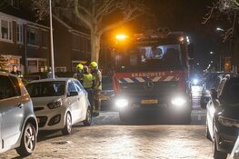 Schuurbrand in Haarlem snel onder controle