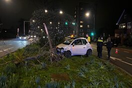 Auto knalt op boom na botsing in Heemstede