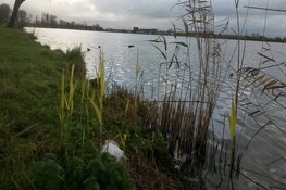 Opschonen Spaarne-oevers