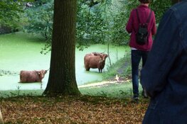 Voorjaar in wandelbos Groenendaal op donderdag 30 maart 2023