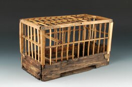 Lezing over archeologie en houtonderzoek