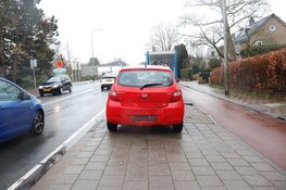 Kopstaartbotsing in Bennebroek